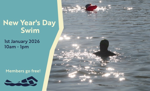 New Years Day Swim